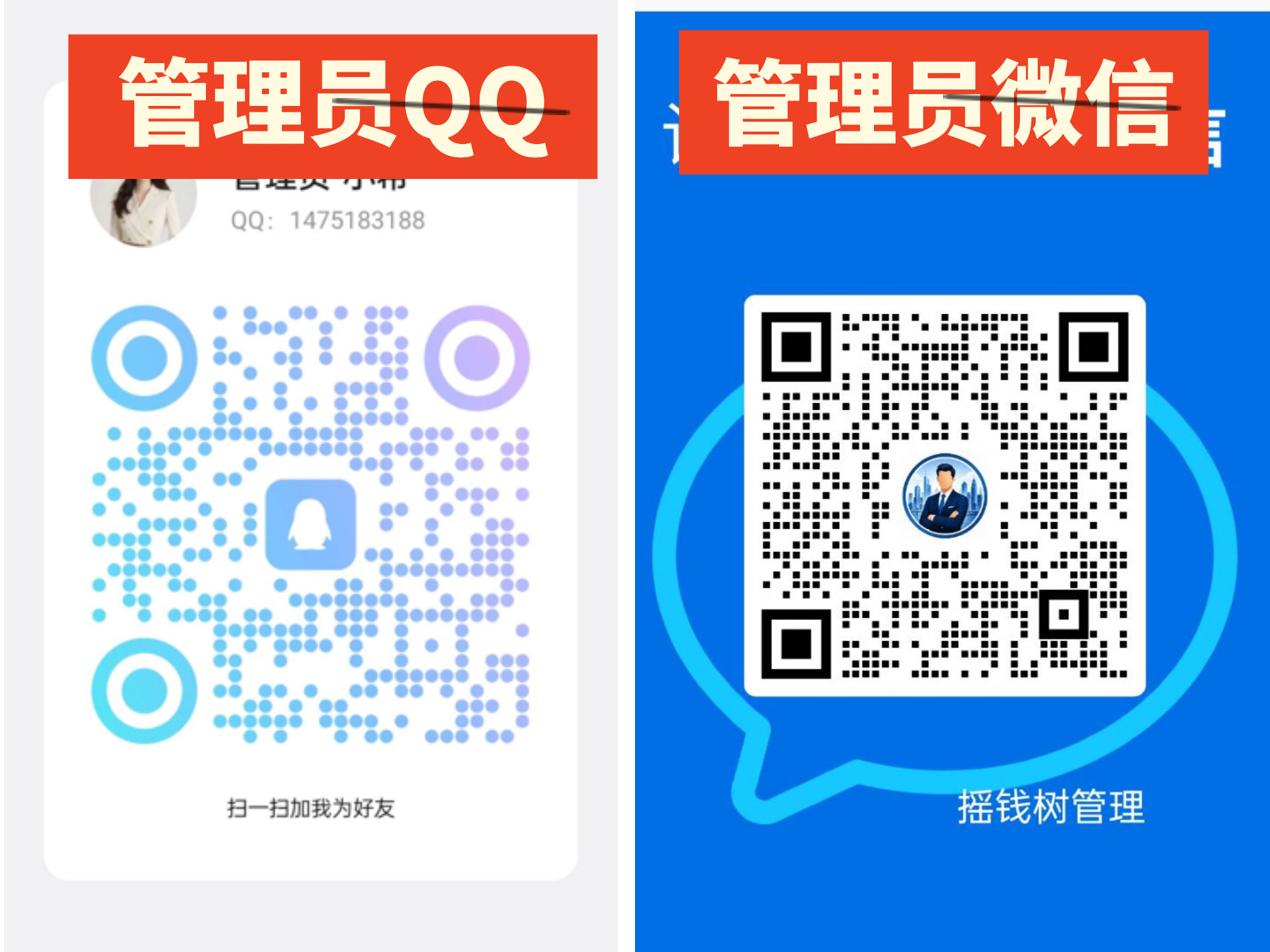 公告图片